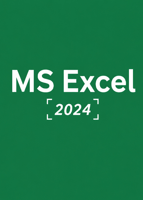 MS Excel 2024 CD Key Global